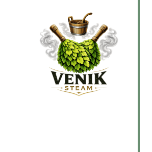 Venik Steam logo